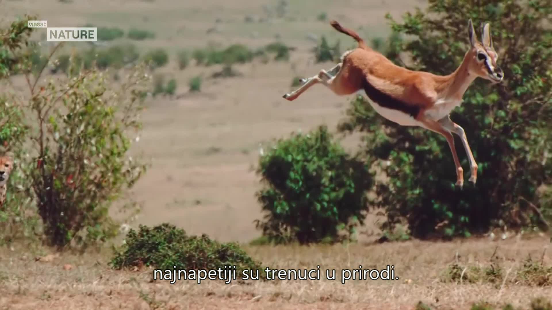 ViasatNature
