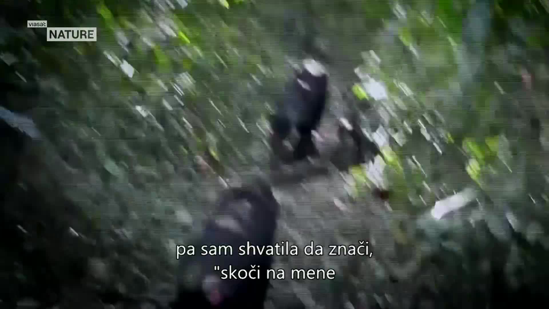 ViasatNature