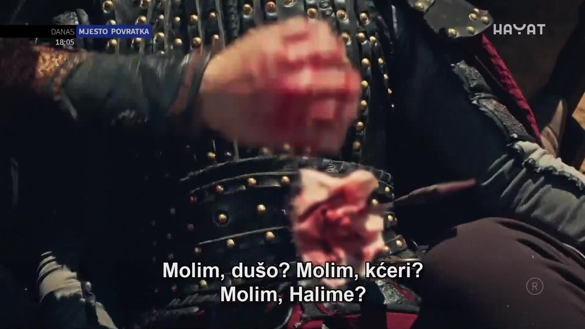 hayat