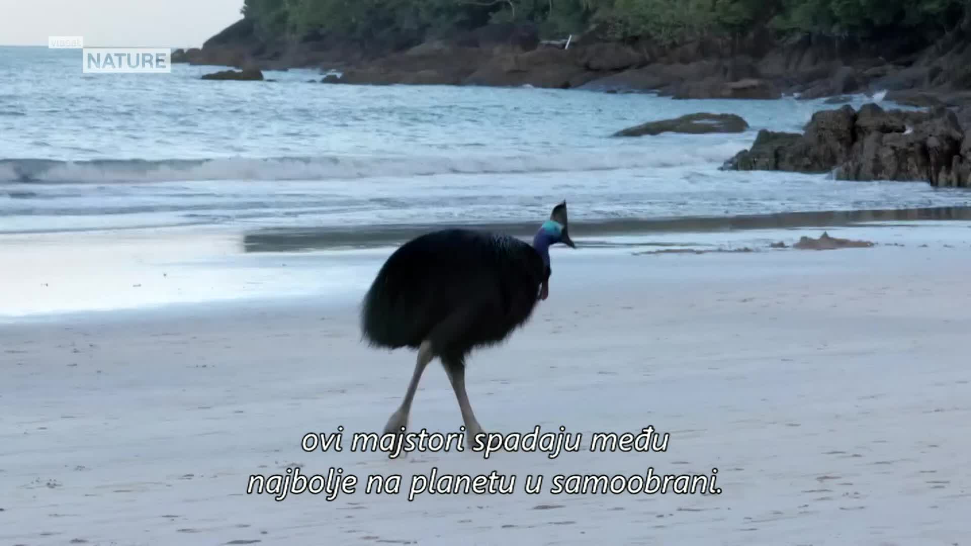 ViasatNature