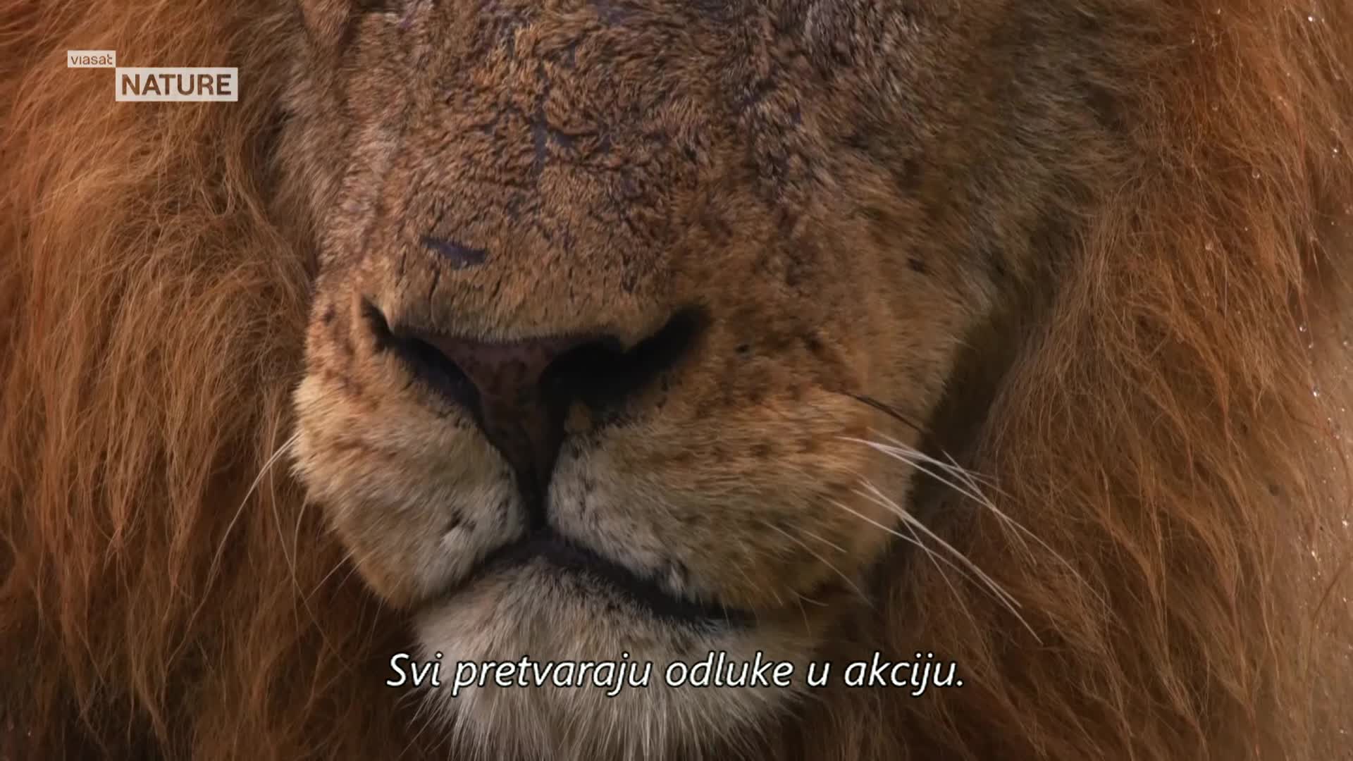 ViasatNature