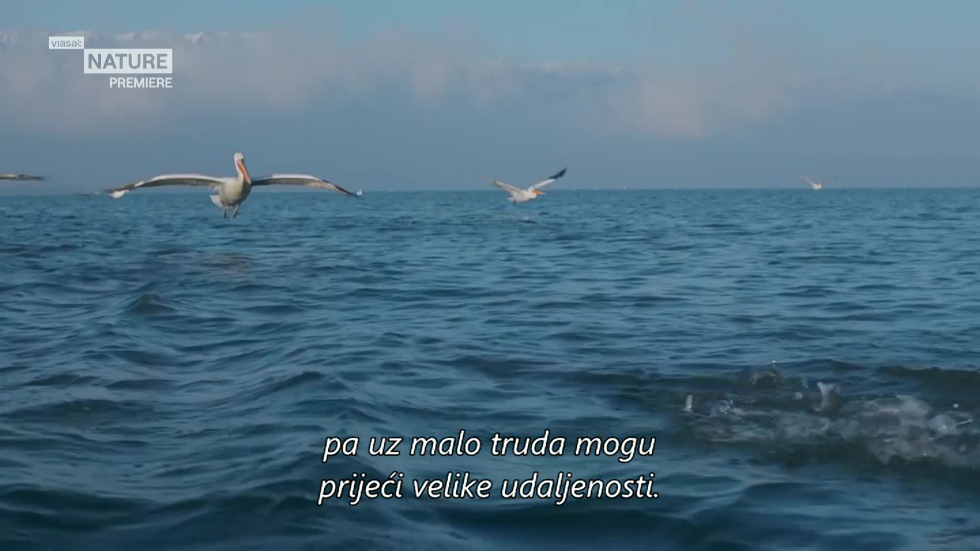 ViasatNature