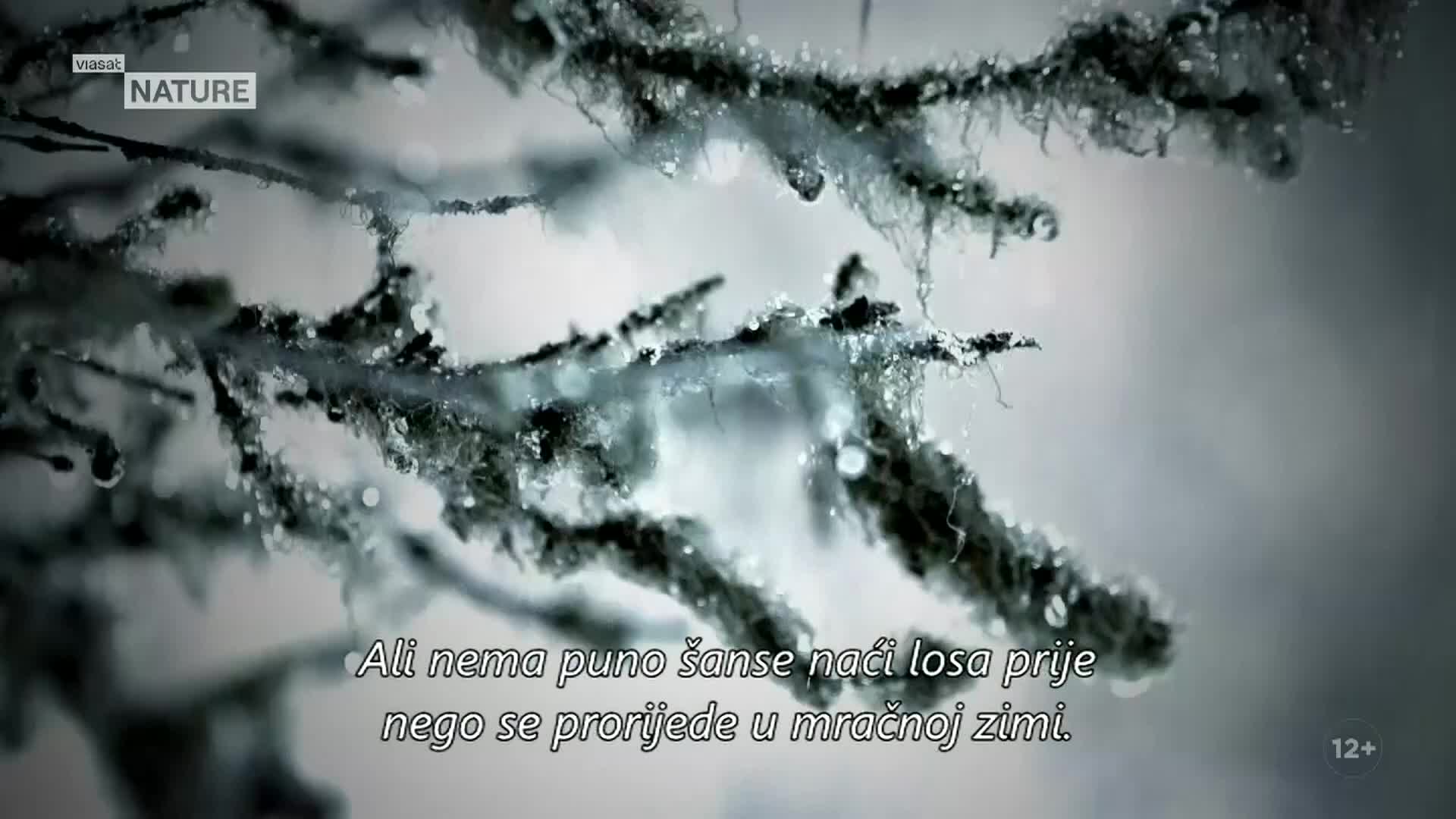 ViasatNature