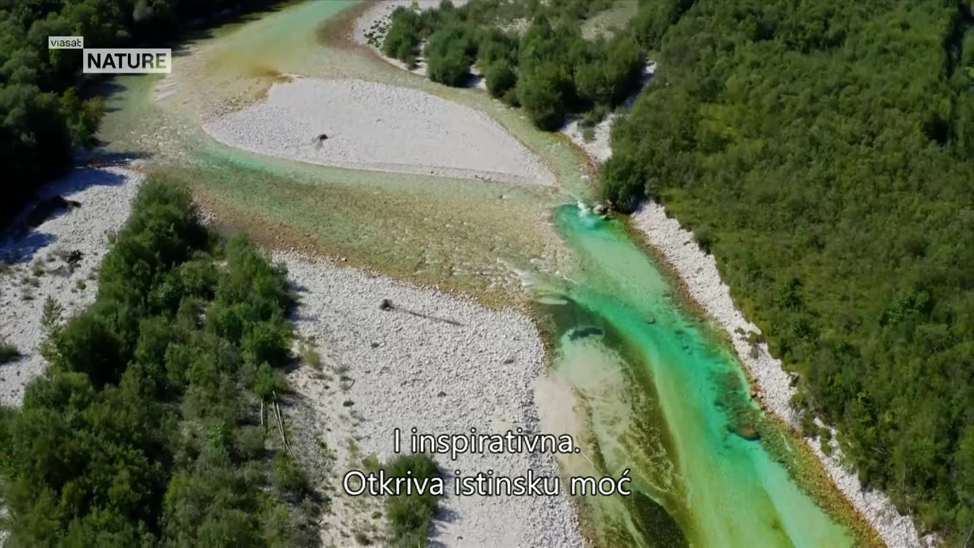 ViasatNature