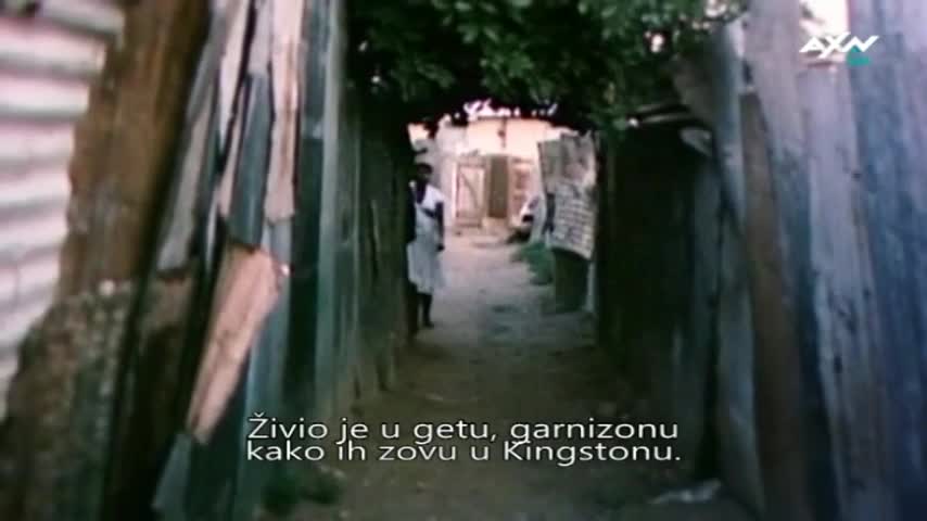 AXNSpin