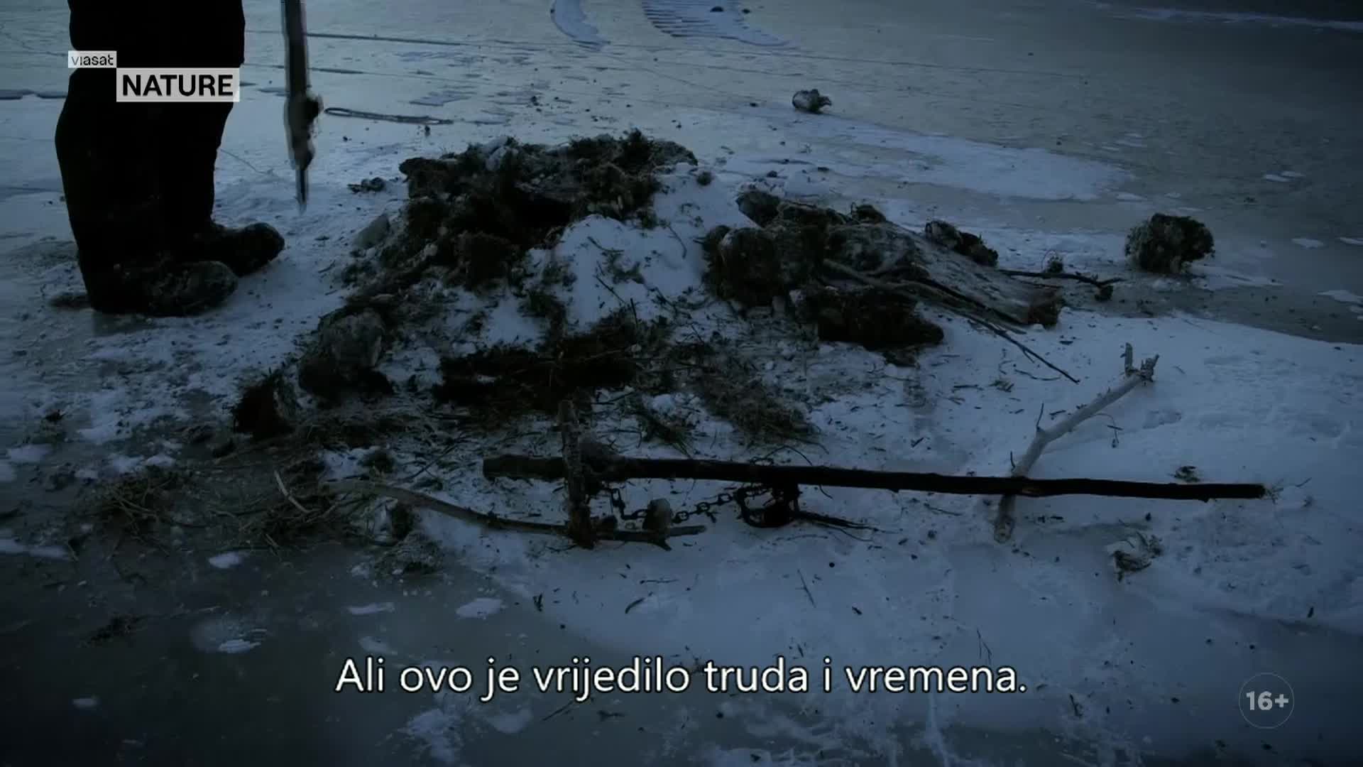 ViasatNature