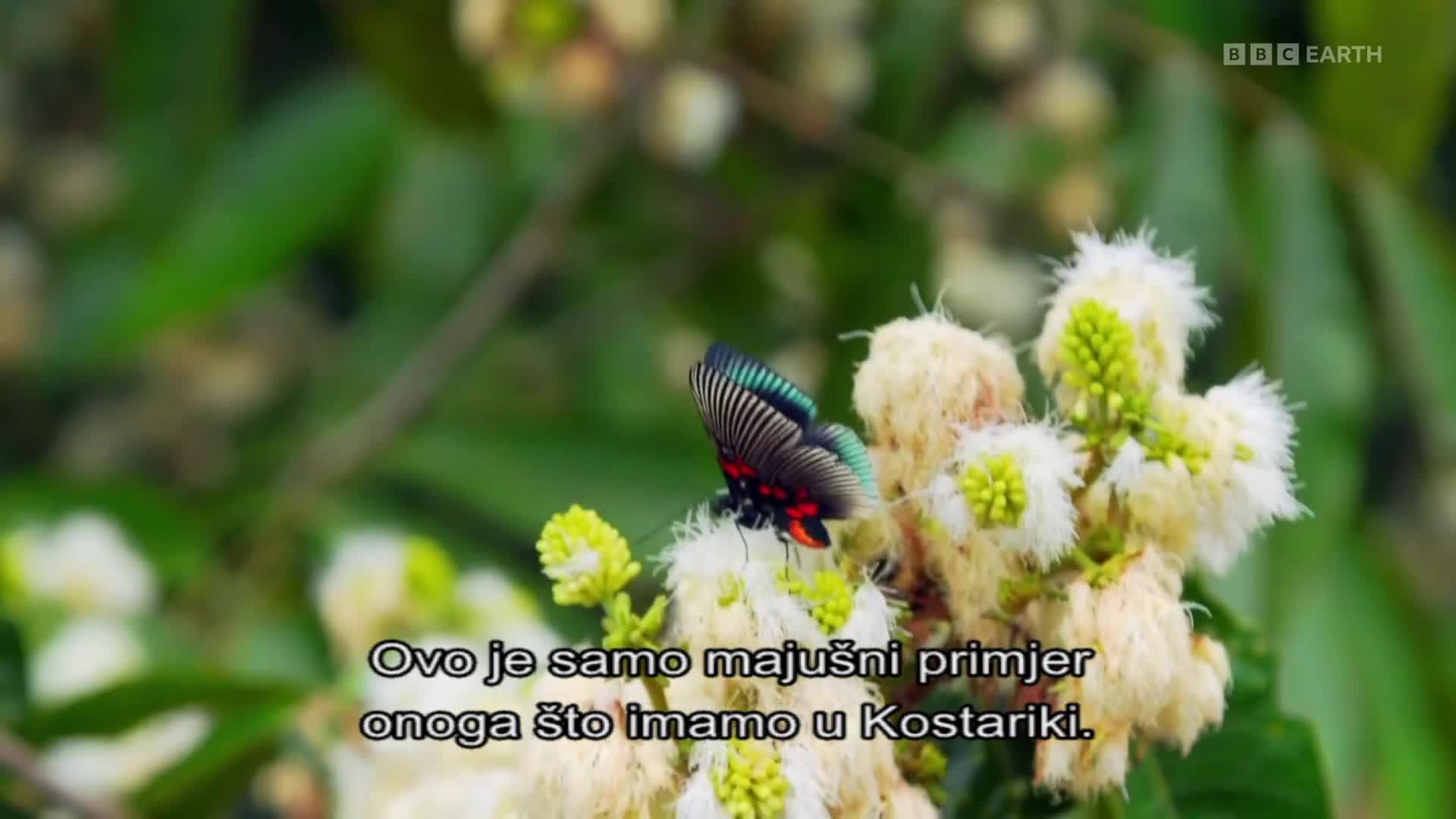 BBCEarth