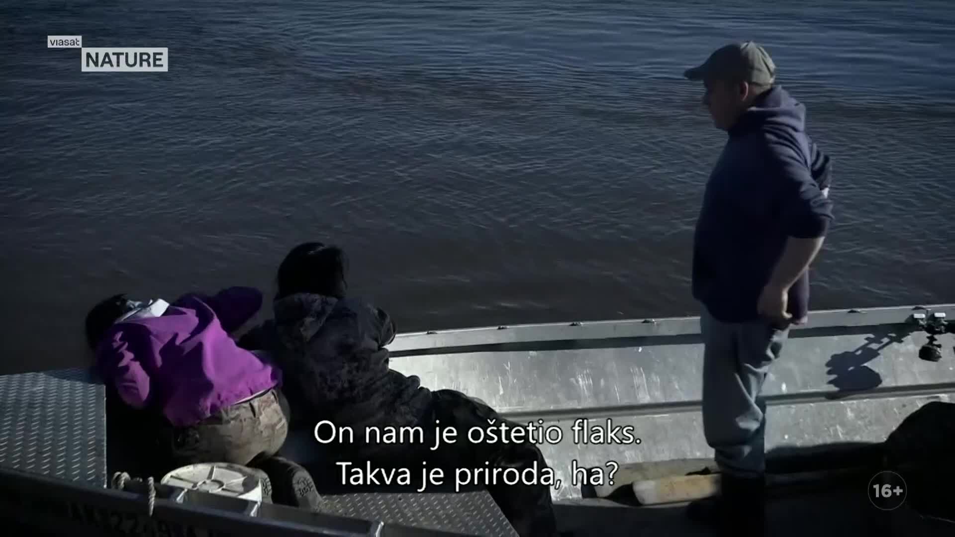 ViasatNature