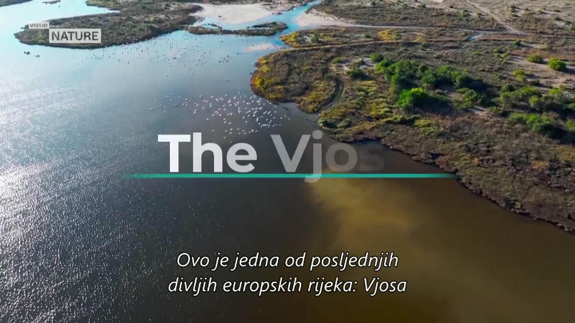 ViasatNature
