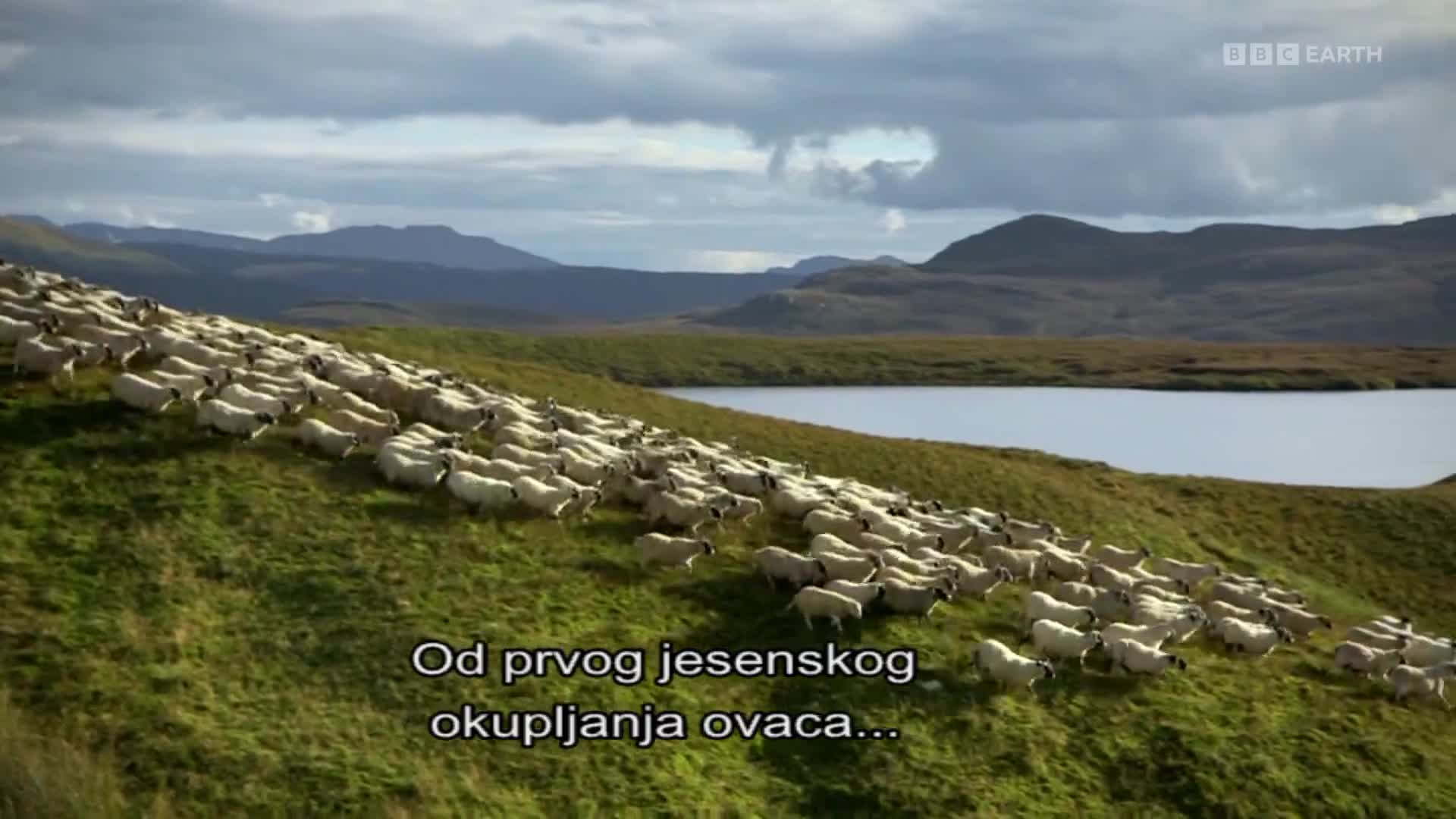 BBCEarth