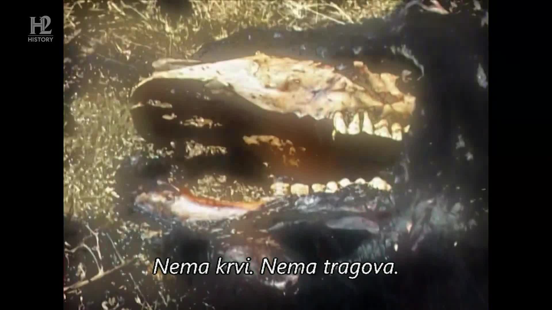 History2