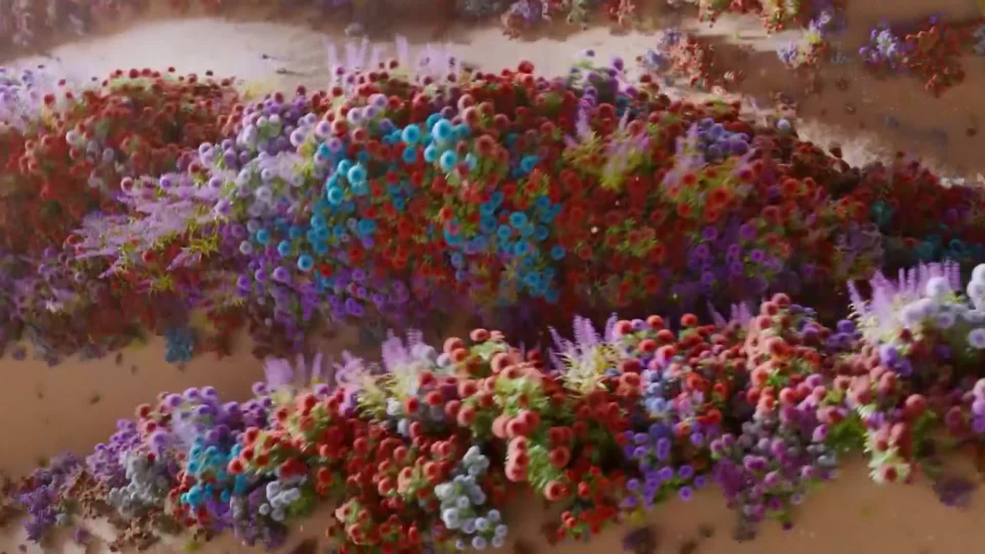 ViasatNature