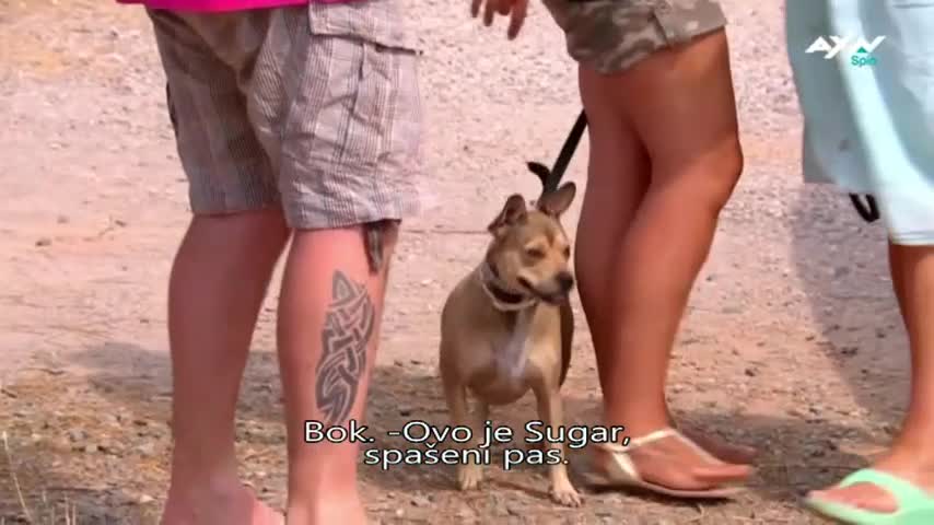AXNSpin