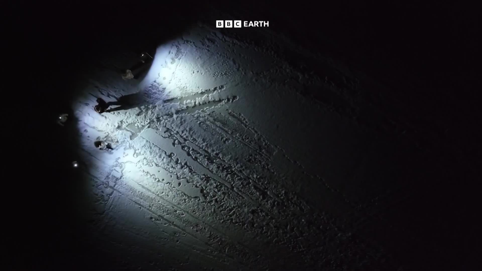 BBCEarth