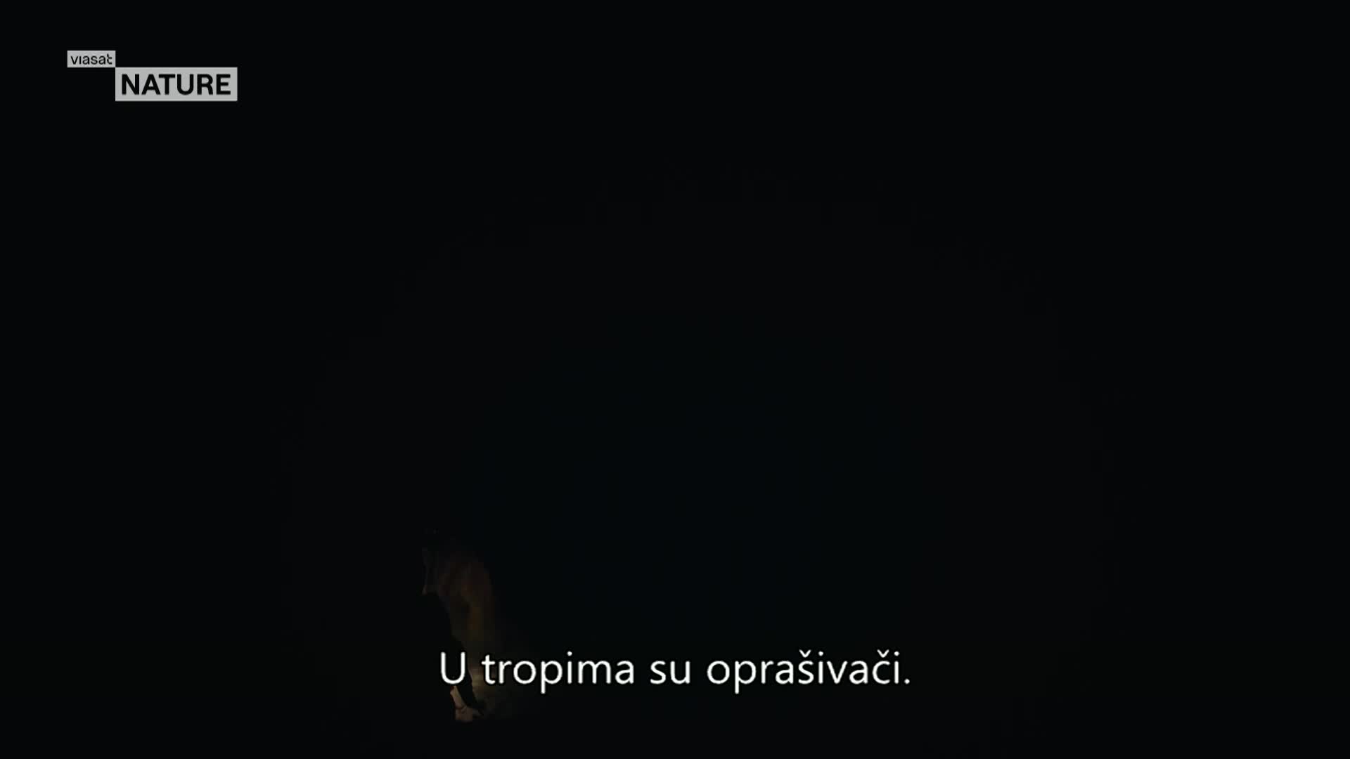 ViasatNature