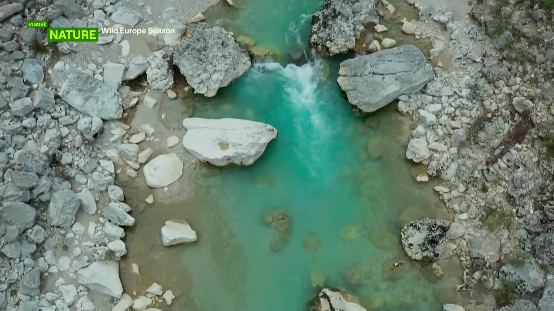 ViasatNature