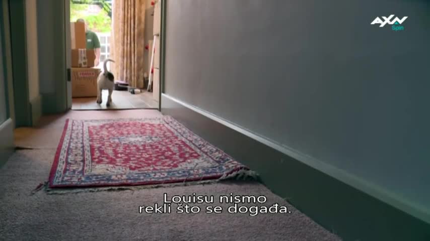 AXNSpin