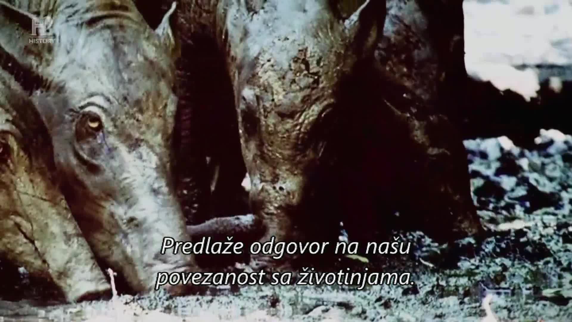 History2