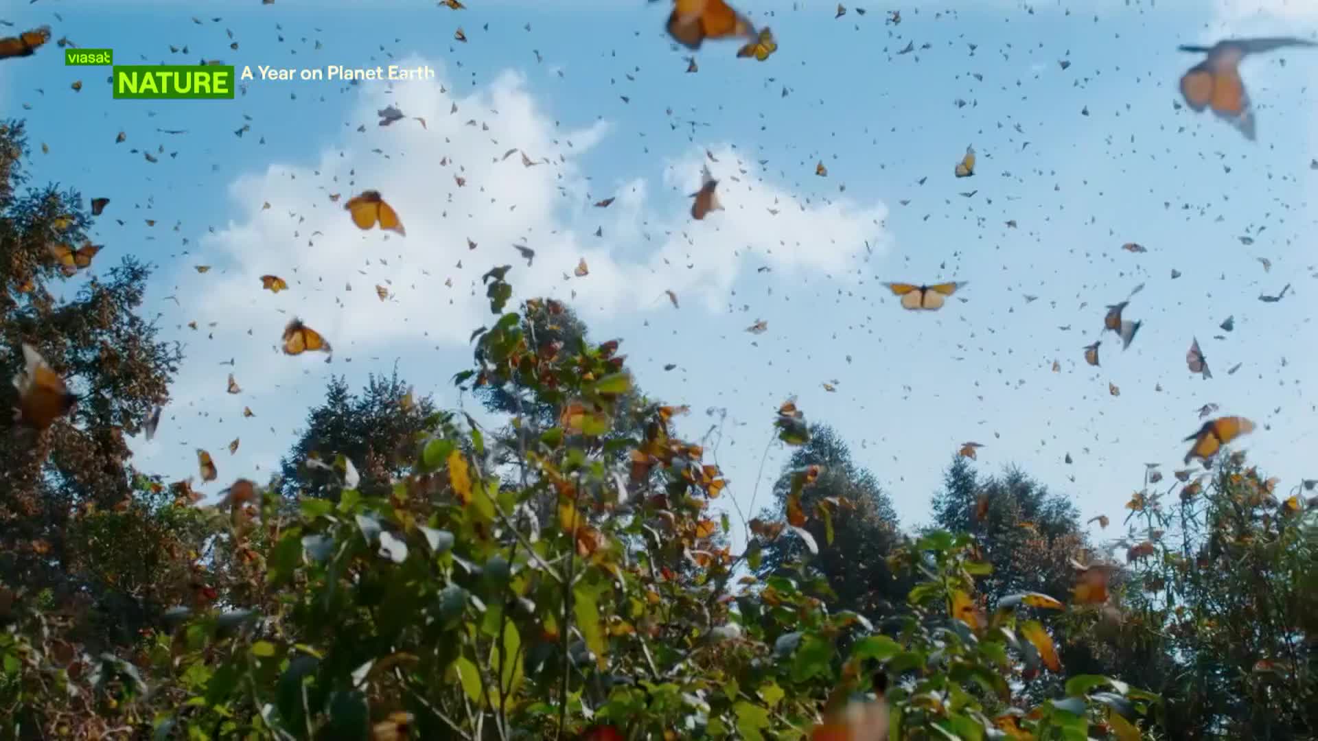ViasatNature