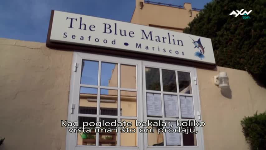 AXNSpin