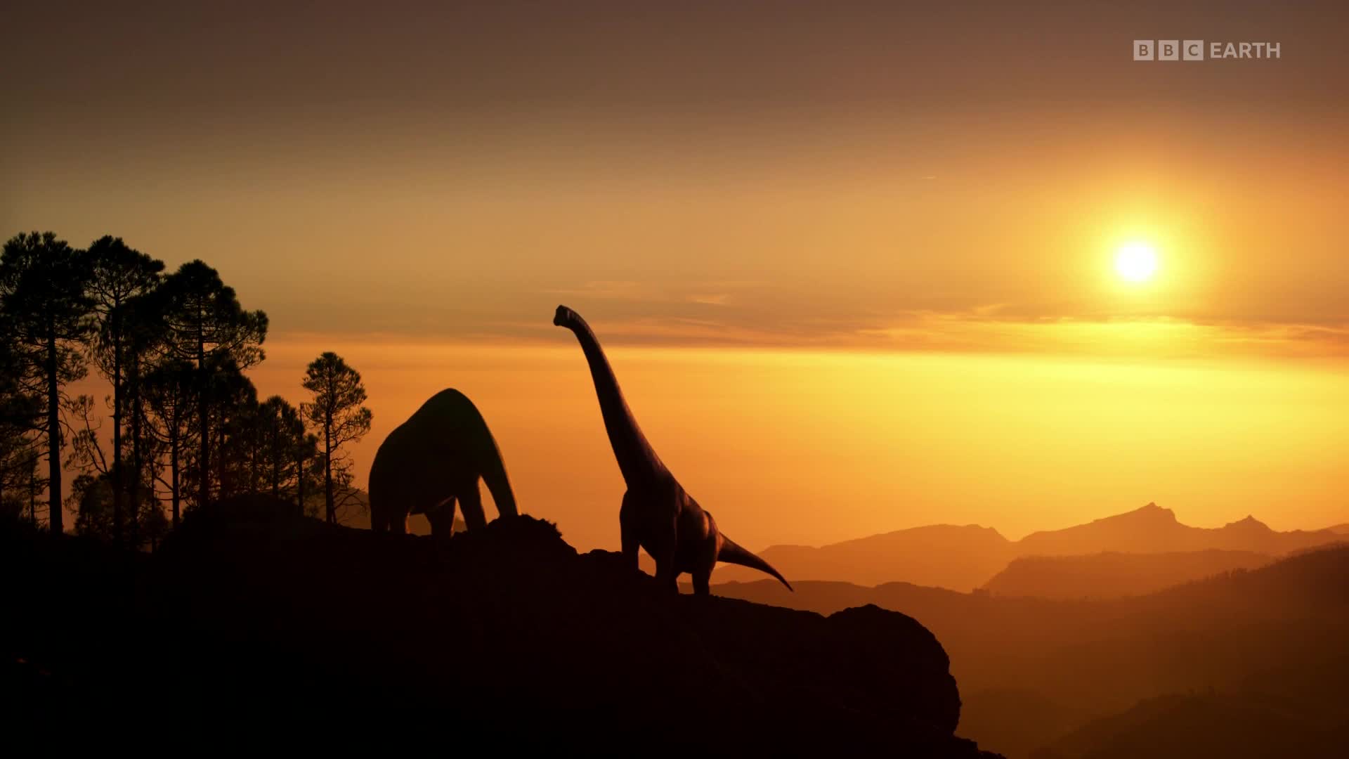 BBCEarth