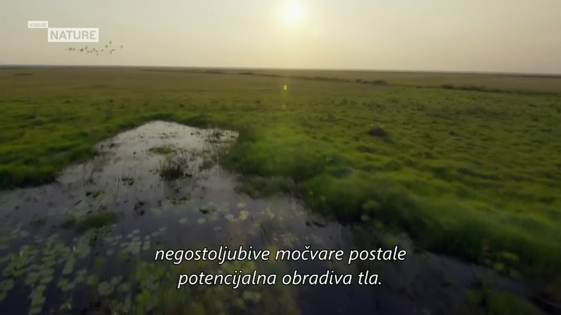 ViasatNature