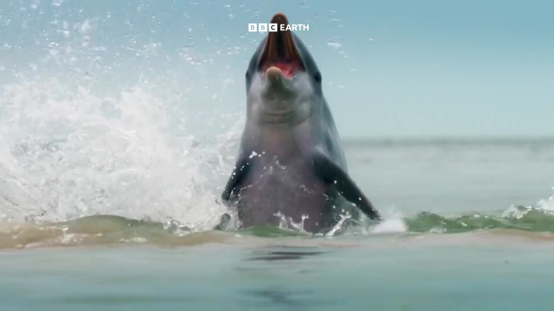 BBCEarth