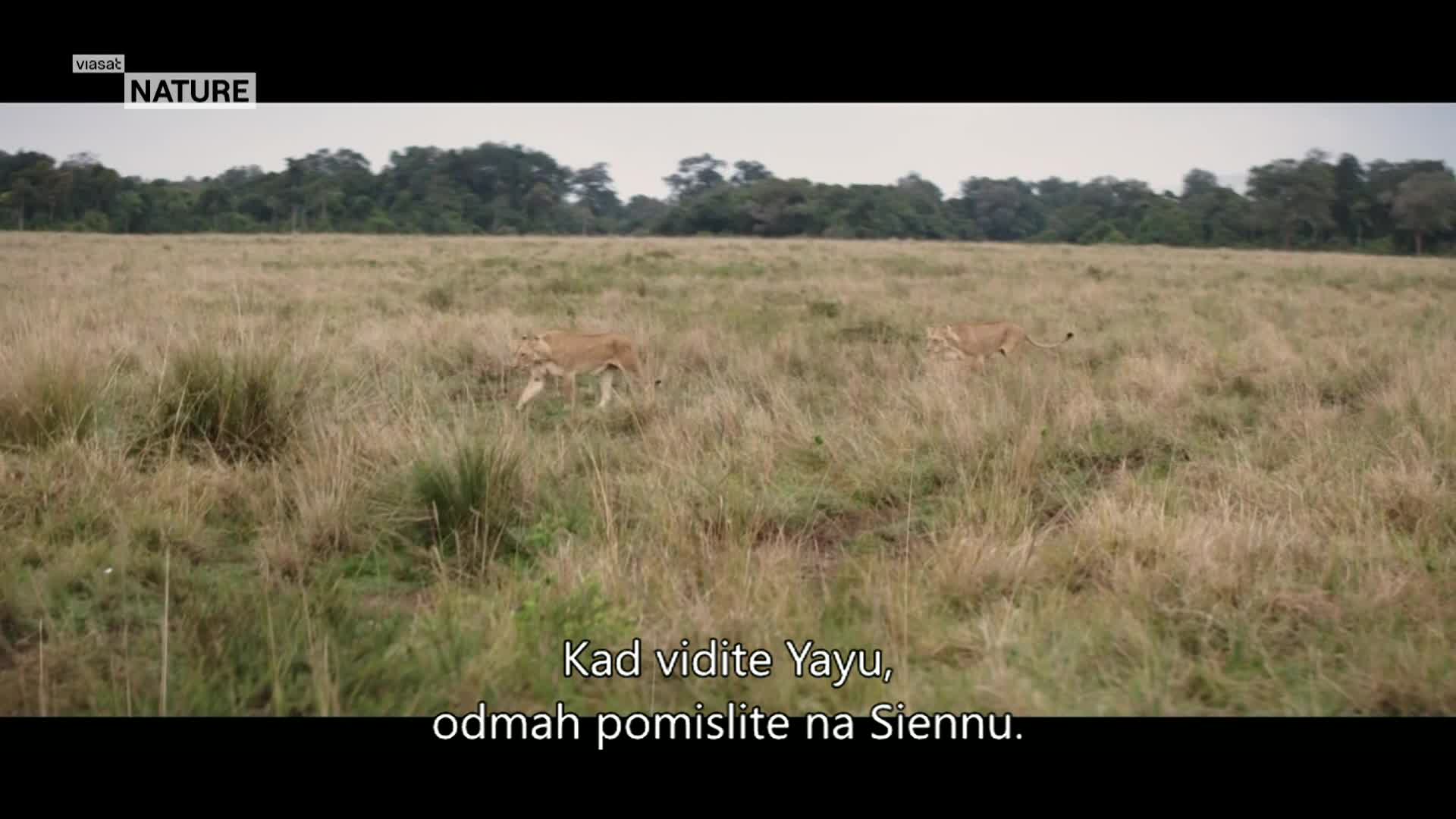 ViasatNature
