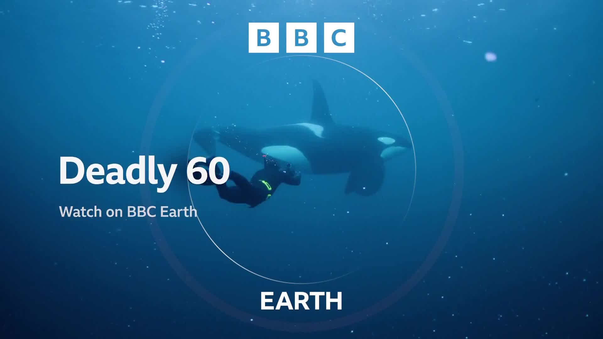 BBCEarth