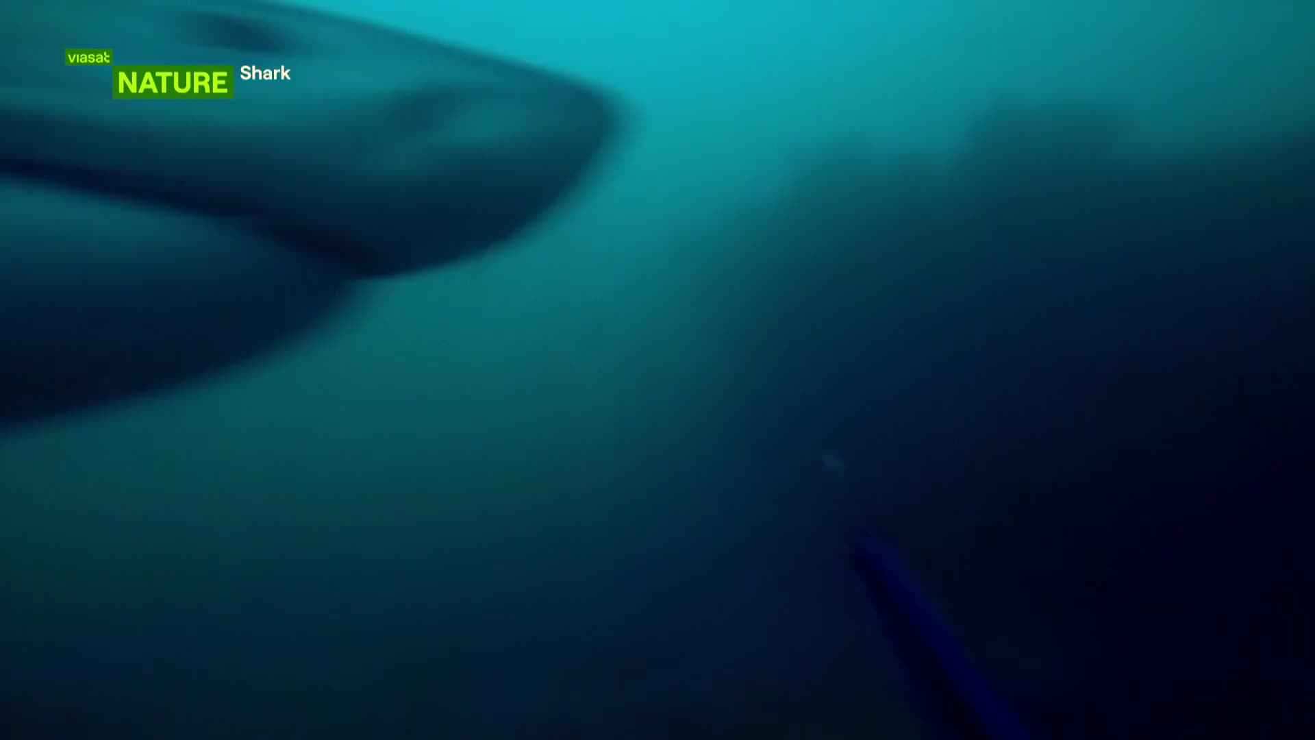 ViasatNature