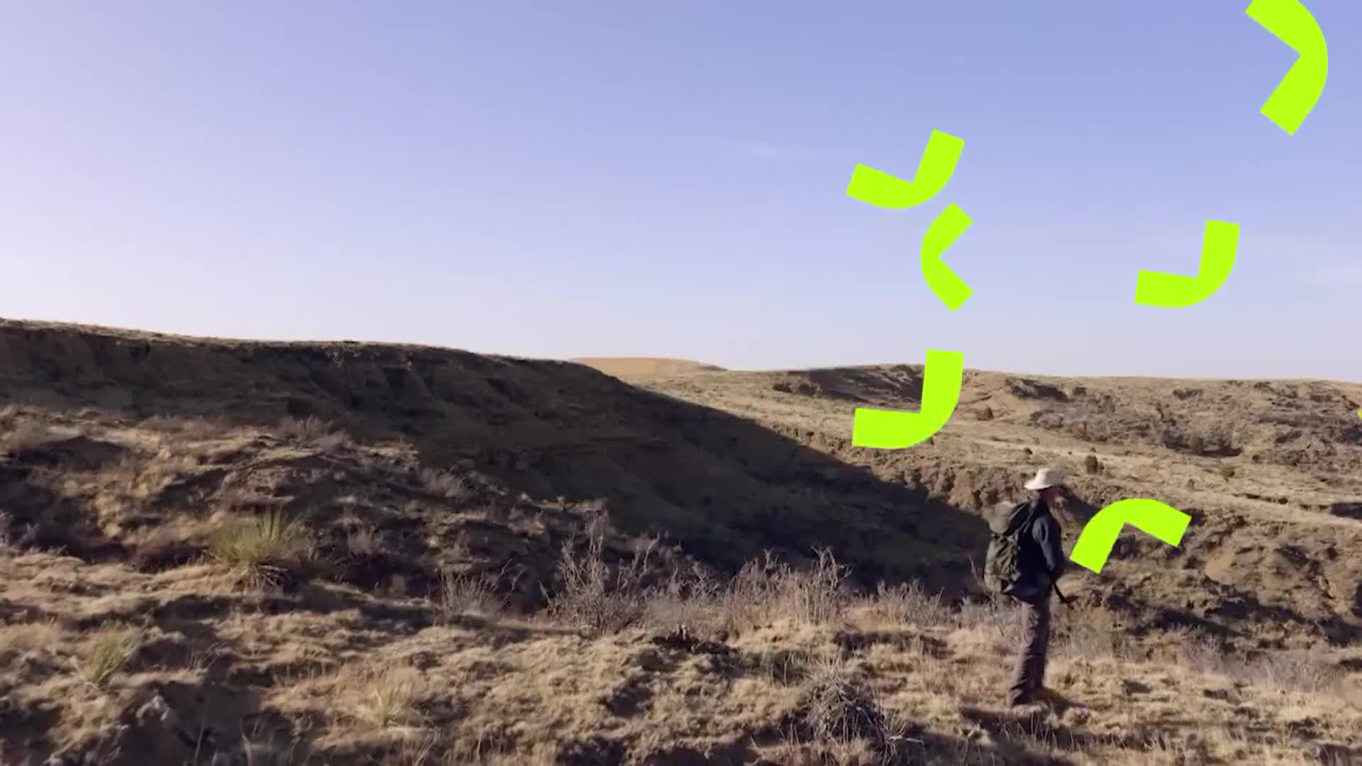 ViasatNature