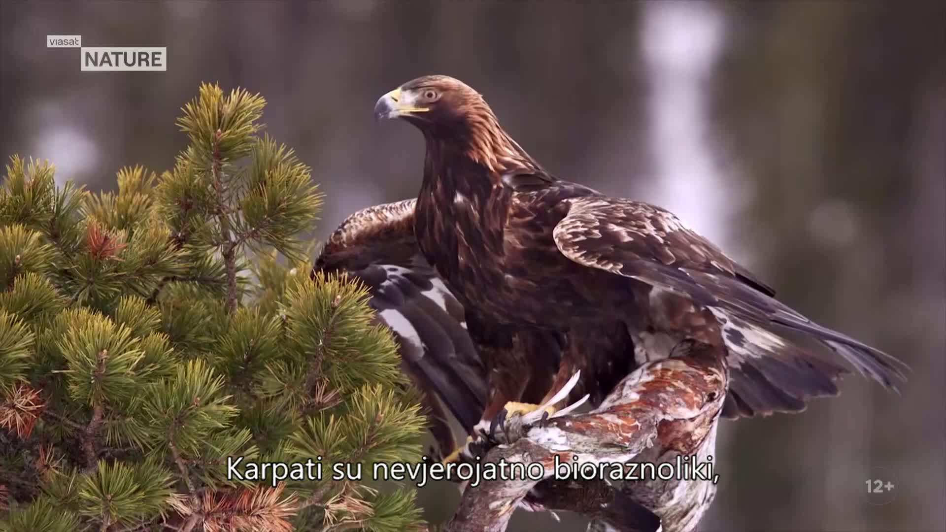 ViasatNature