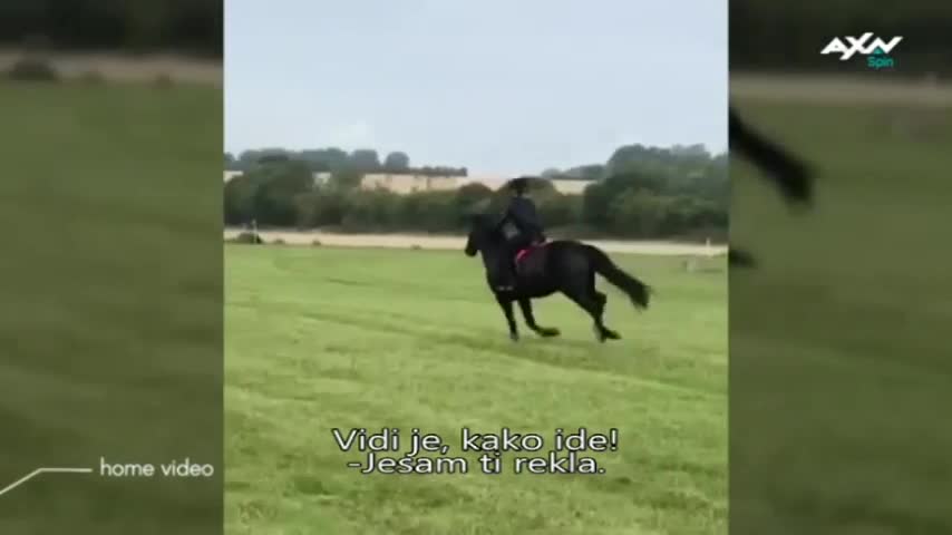 AXNSpin