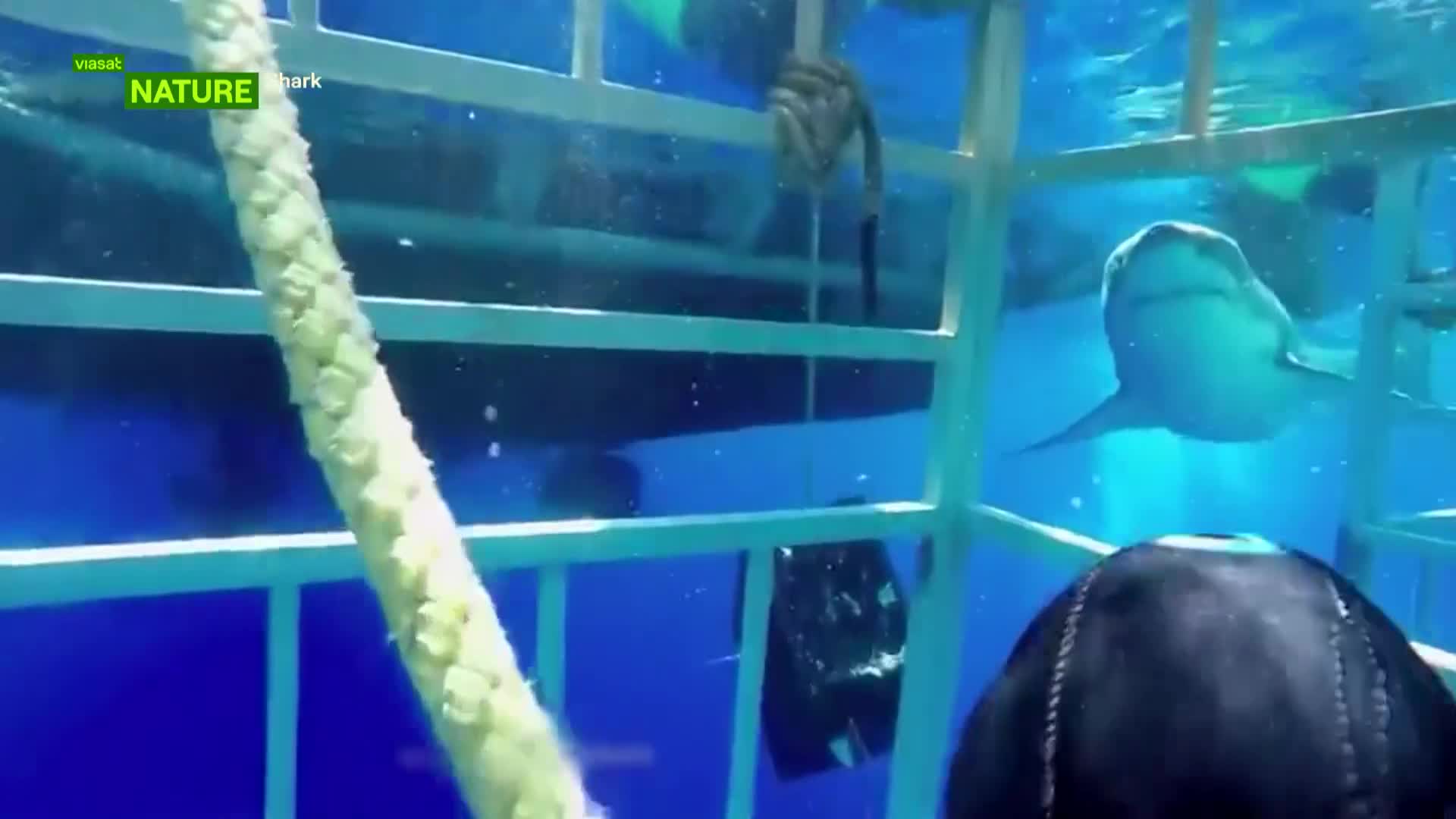 ViasatNature