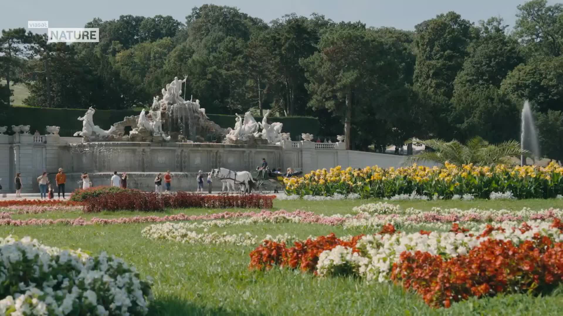ViasatNature