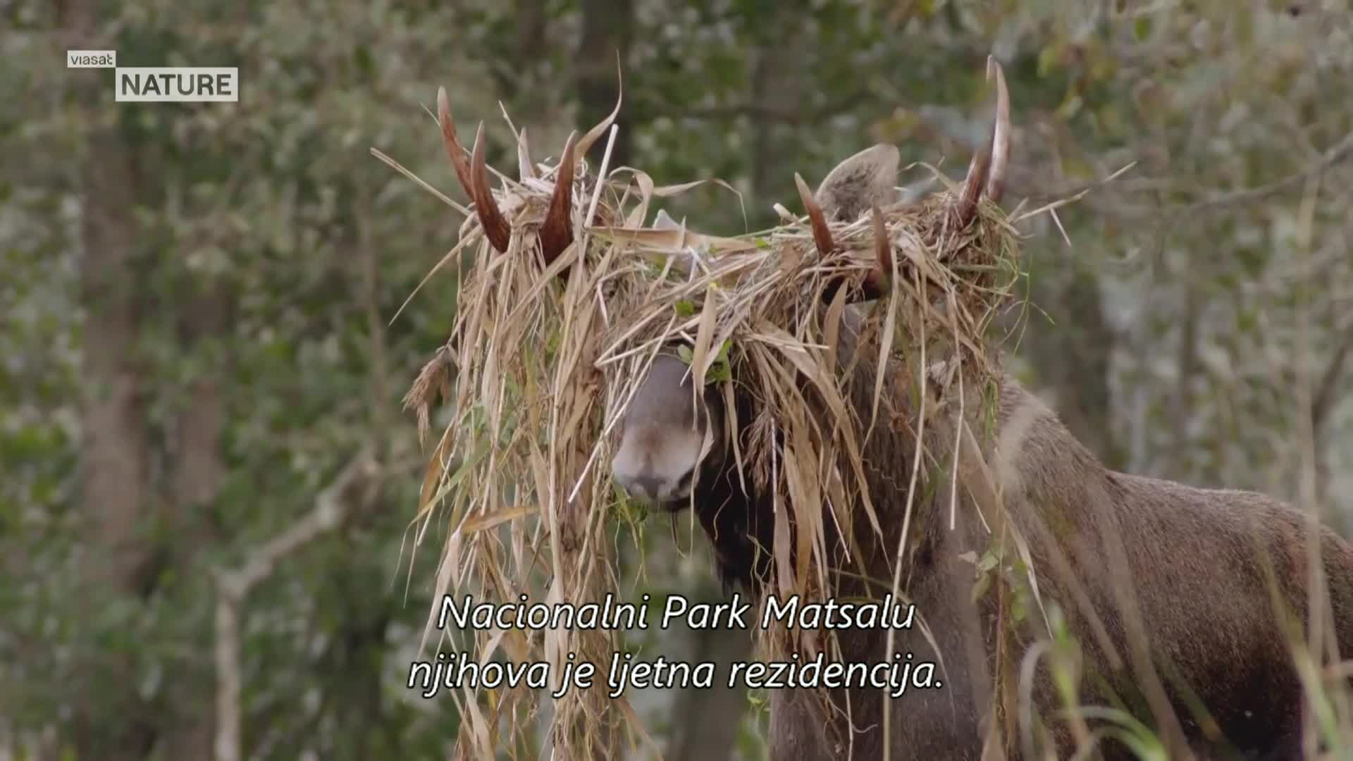 ViasatNature