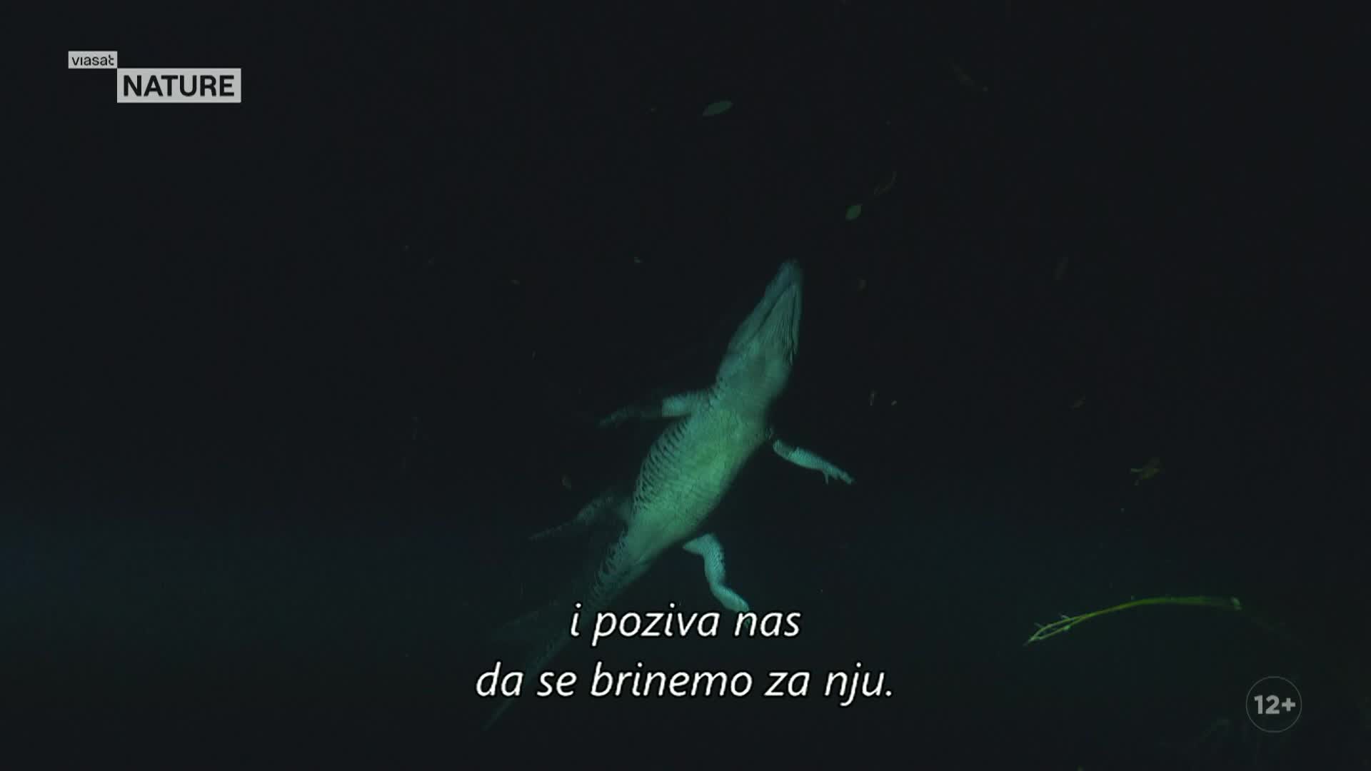 ViasatNature