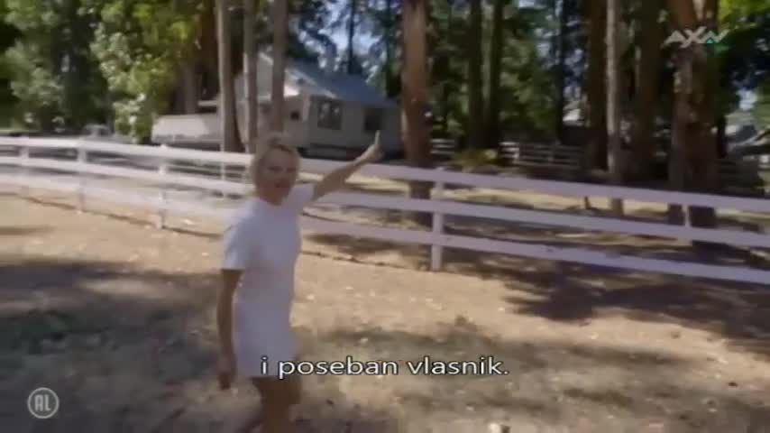 AXNSpin