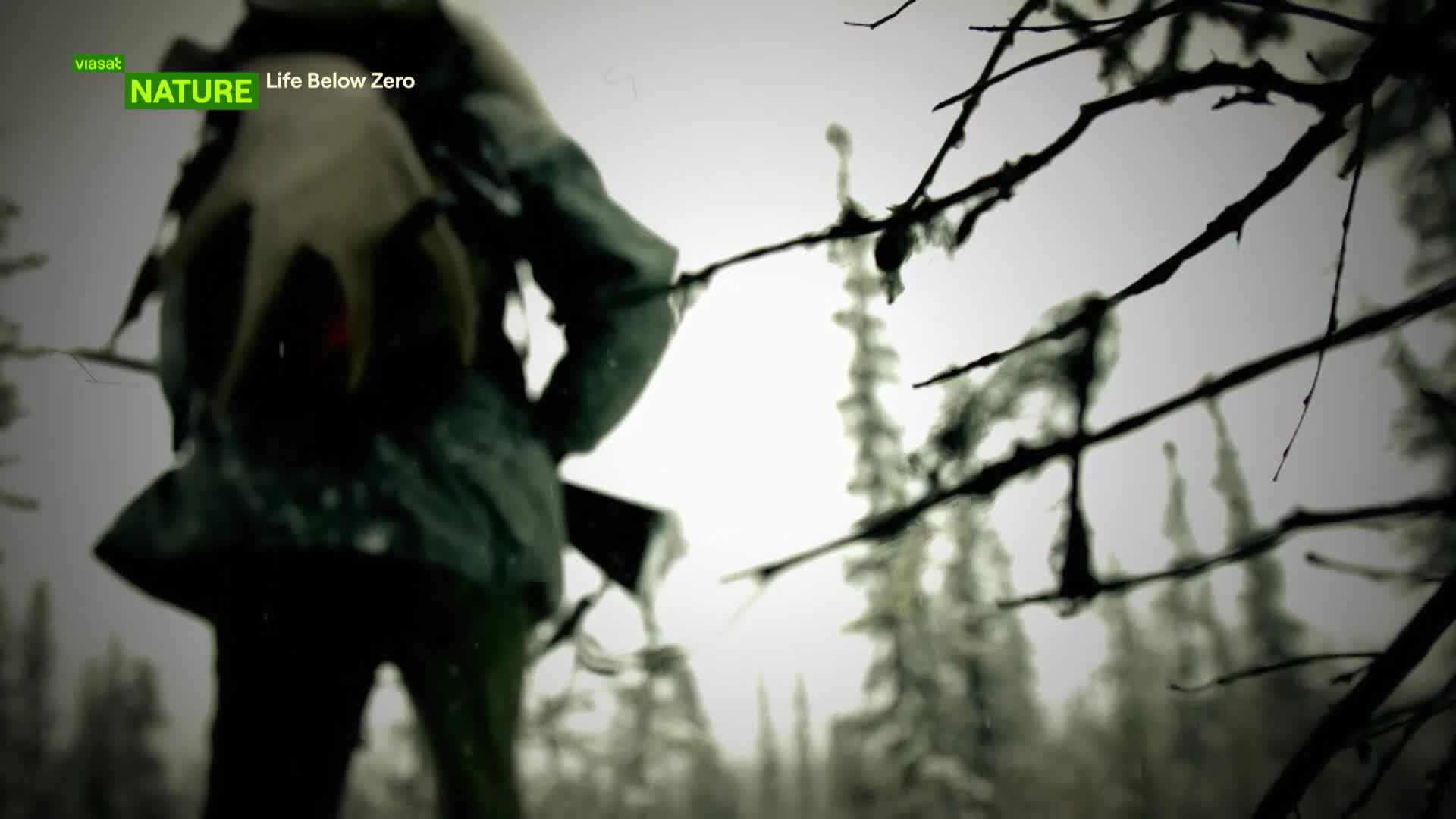 ViasatNature