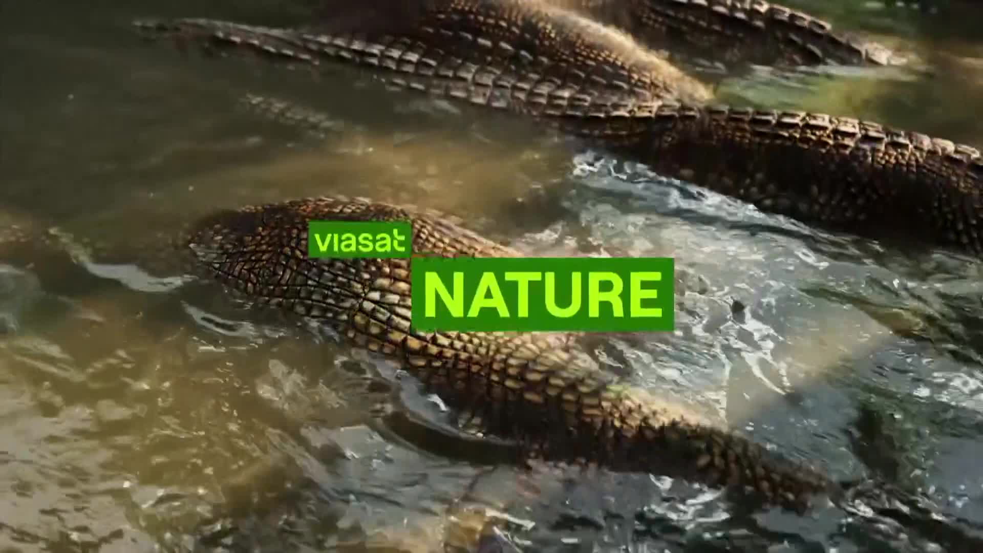 ViasatNature