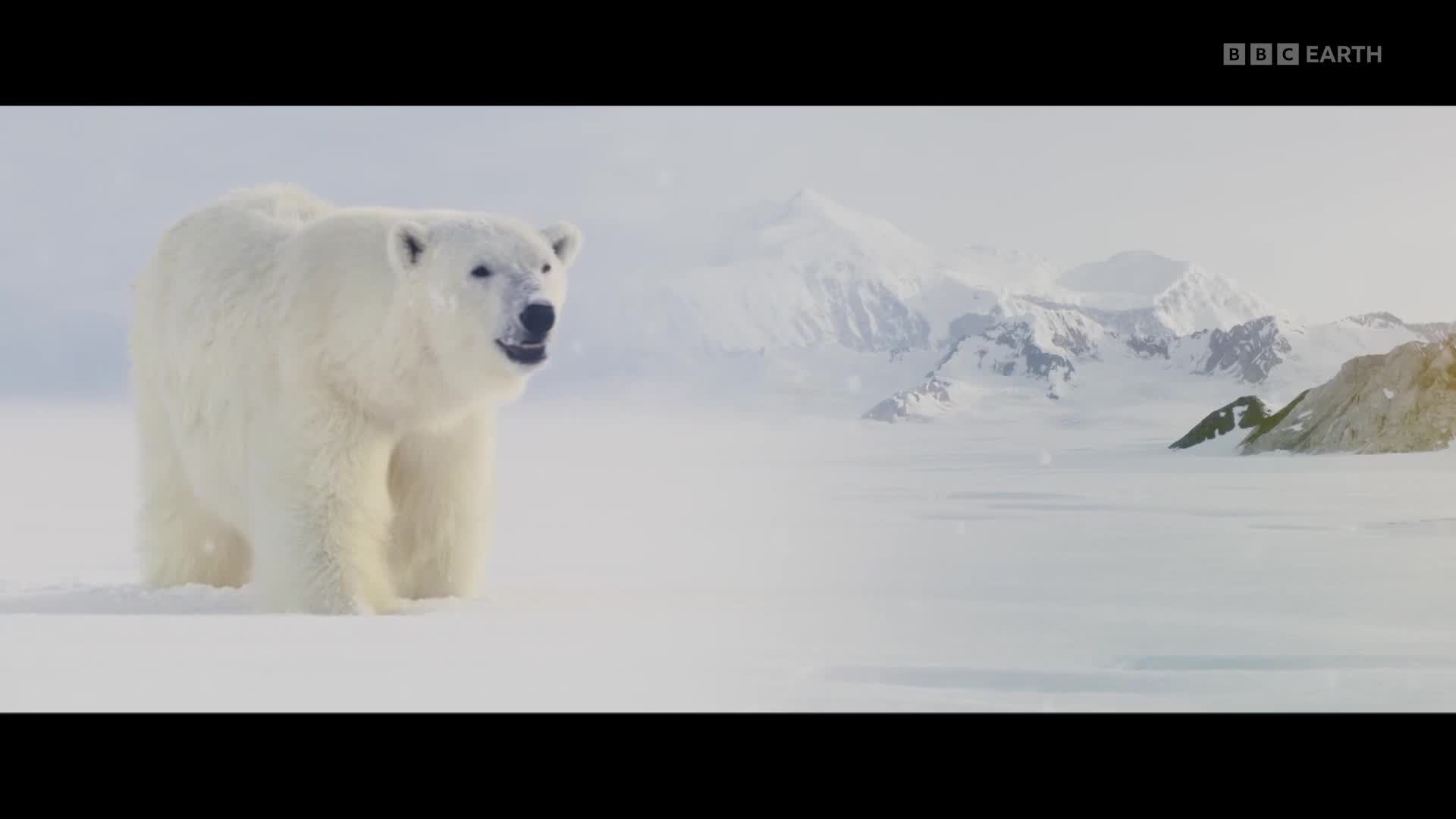 BBCEarth