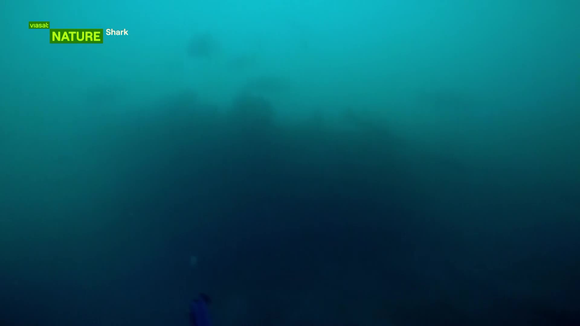 ViasatNature