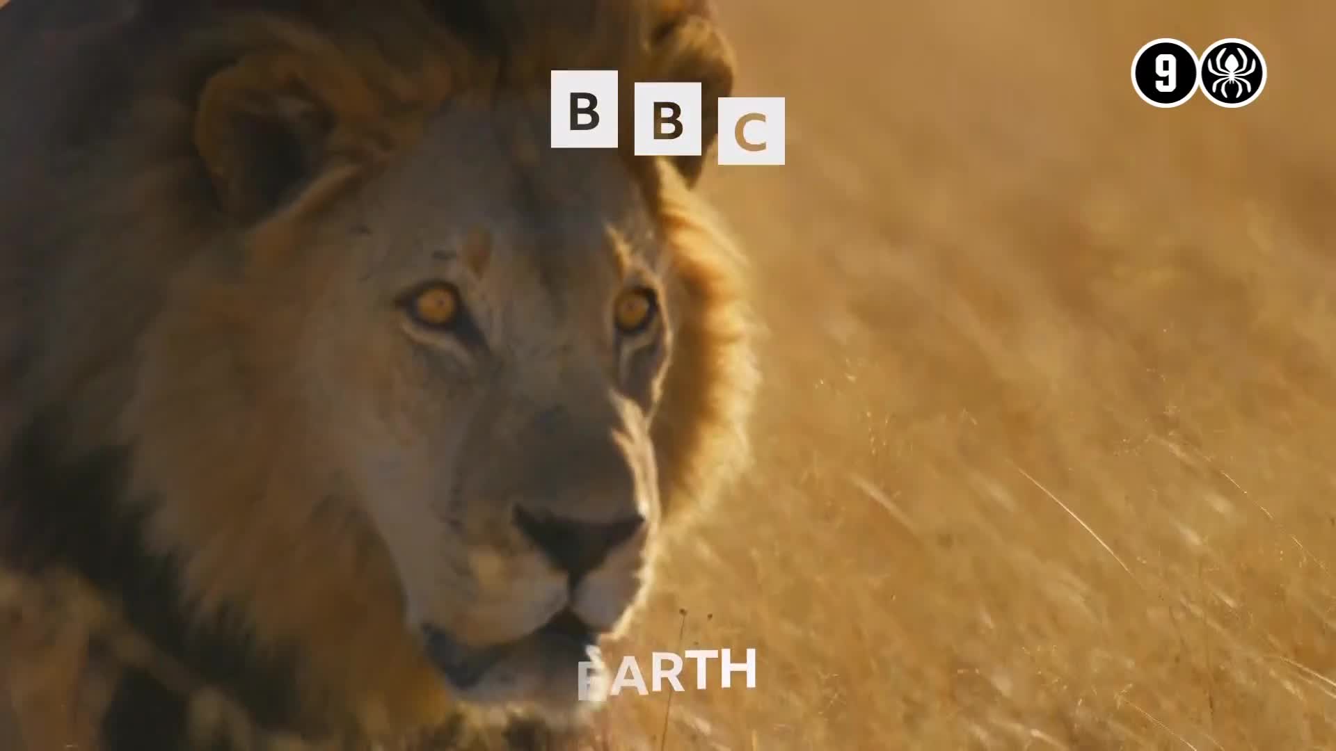 BBCEarth
