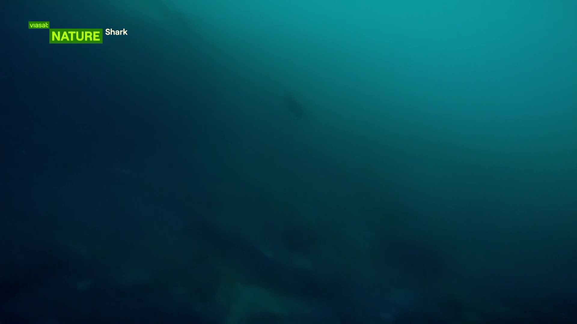 ViasatNature