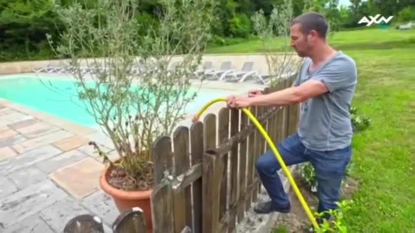 AXNSpin