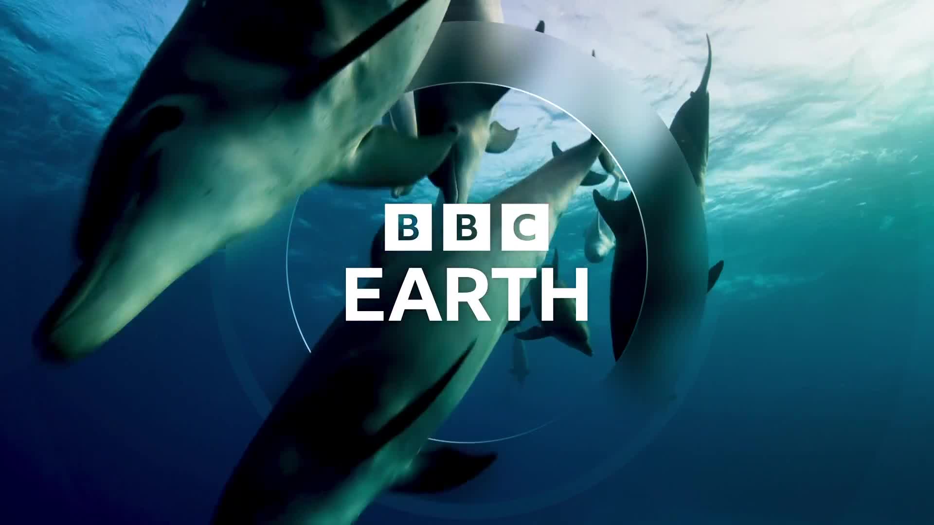 BBCEarth