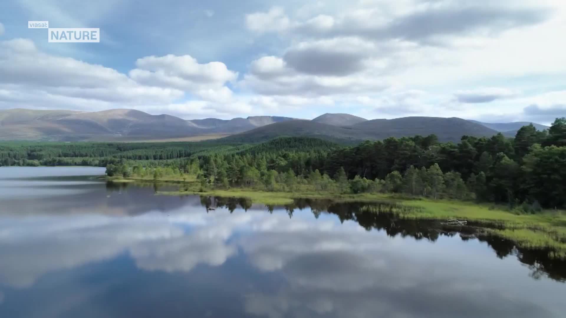ViasatNature