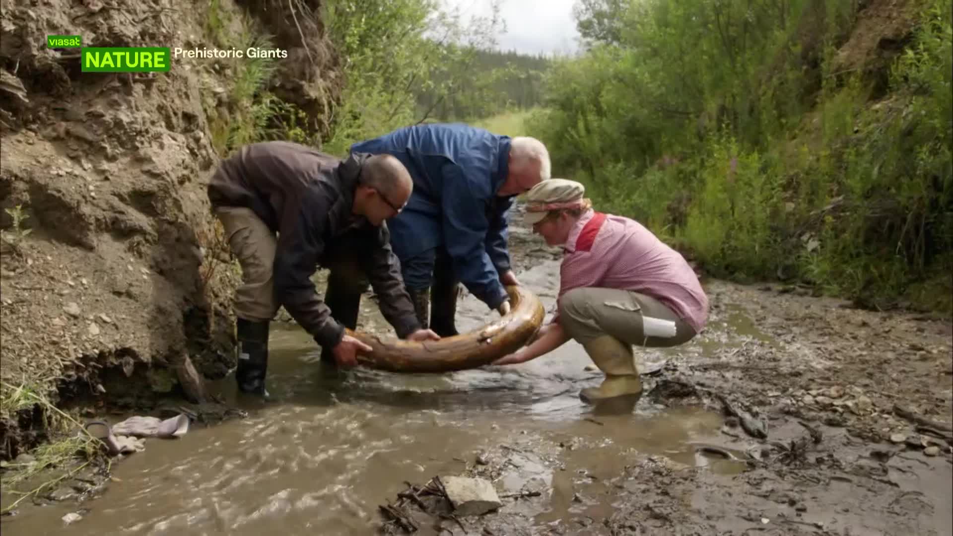 ViasatNature
