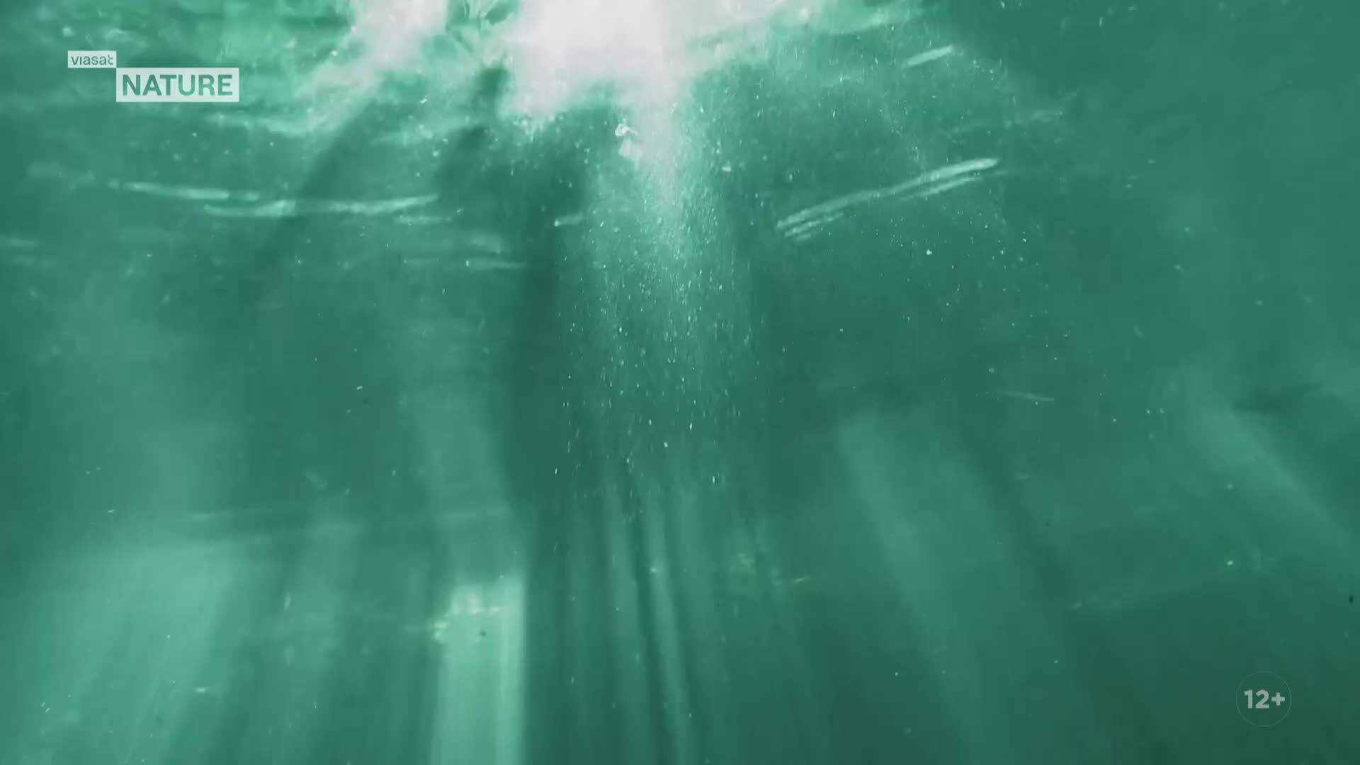ViasatNature