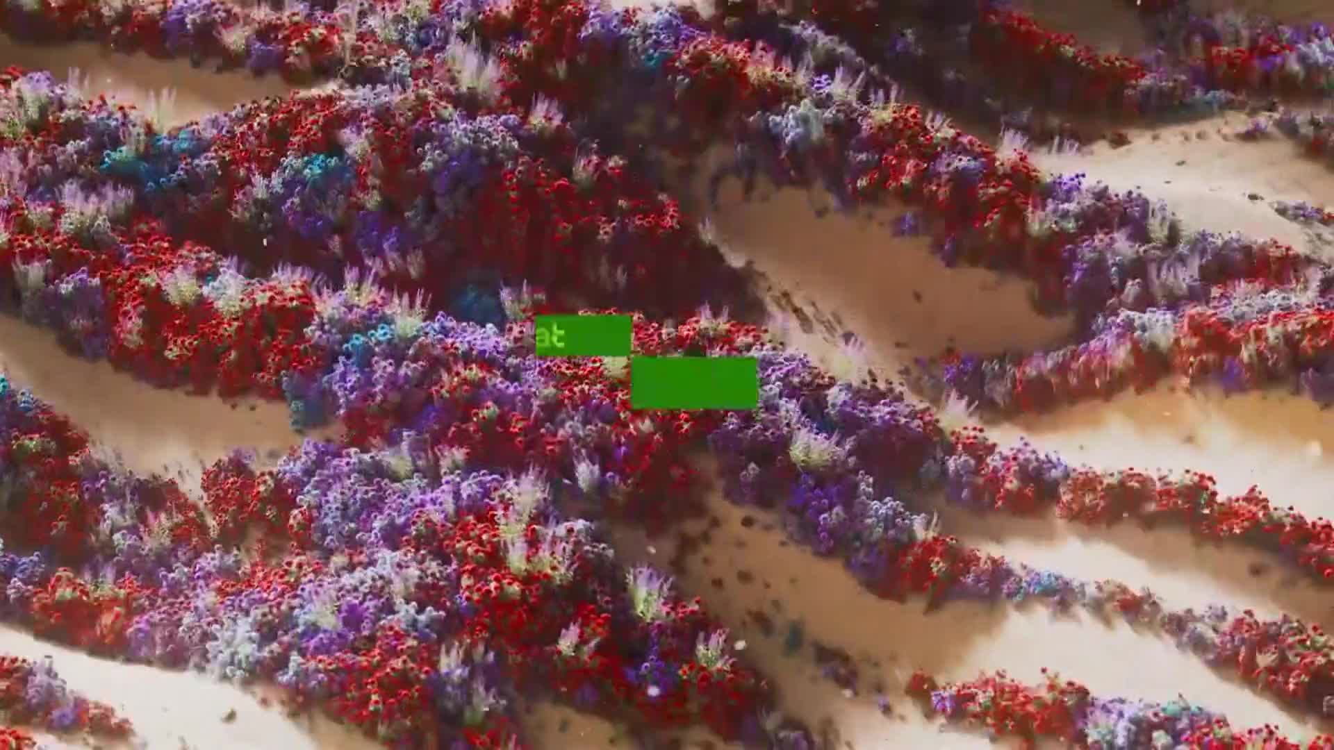 ViasatNature